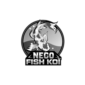 NEGO FISH KOI